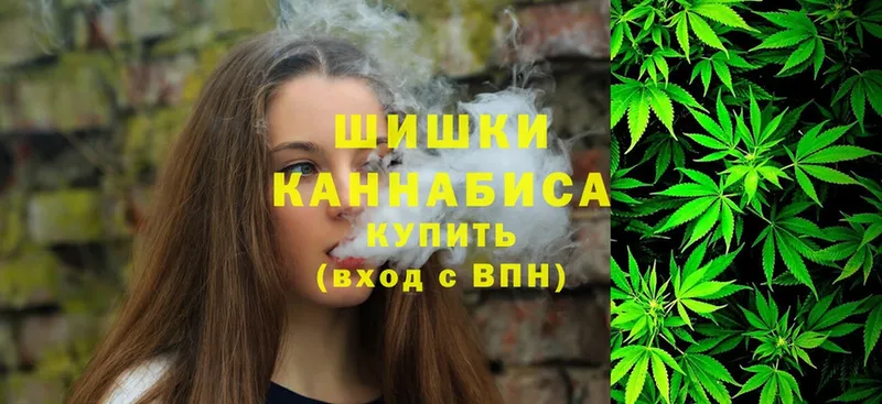 сколько стоит  Грозный  Бошки Шишки THC 21% 